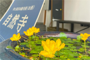 自然寺・玄関